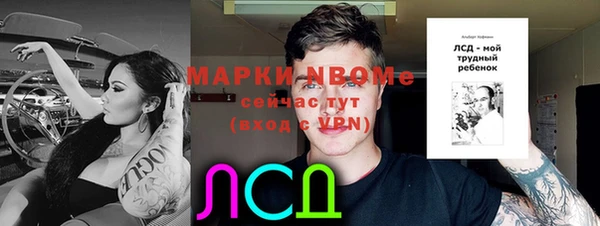 шишки Алзамай