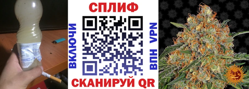 Конопля сатива  как найти   Бирюч 